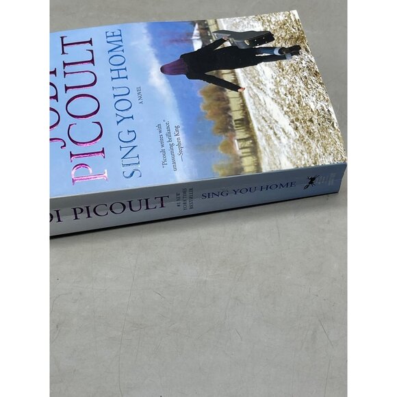 Sing you home book Jodi Picoult paperback copyright 2011 English READ - Picture 6 of 6